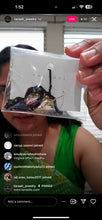 Load image into Gallery viewer, Rishika