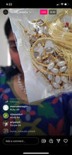 Load image into Gallery viewer, Priya N