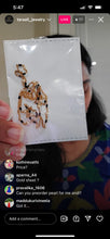 Load image into Gallery viewer, Seeta