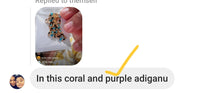 Load image into Gallery viewer, Phani