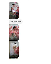 Load image into Gallery viewer, Meena