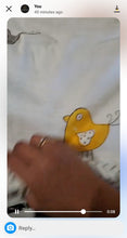 Load image into Gallery viewer, Yamini