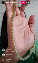 Load image into Gallery viewer, Ankita