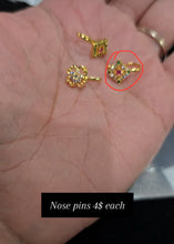 Load image into Gallery viewer, Pallavi