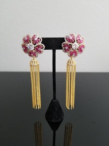 CZ Trendy Earring With 2 Tone Plating