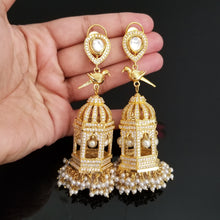 Load image into Gallery viewer, Designer American Diamond Bird Cage Earrings 1730