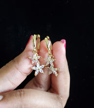 Load image into Gallery viewer, Western Cz Earring